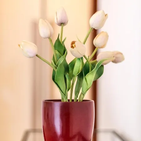 公寓式酒店 4 Star Train Station - Self Check-in 博洛尼亚