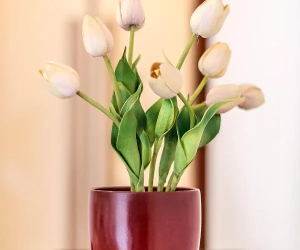 Apart-hotel 4 Star Train Station - Self Check-in Bolonha